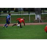 780x520Kinder u.Jugendsportspiele Neustadt-Sa. 1.07 (96).JPG